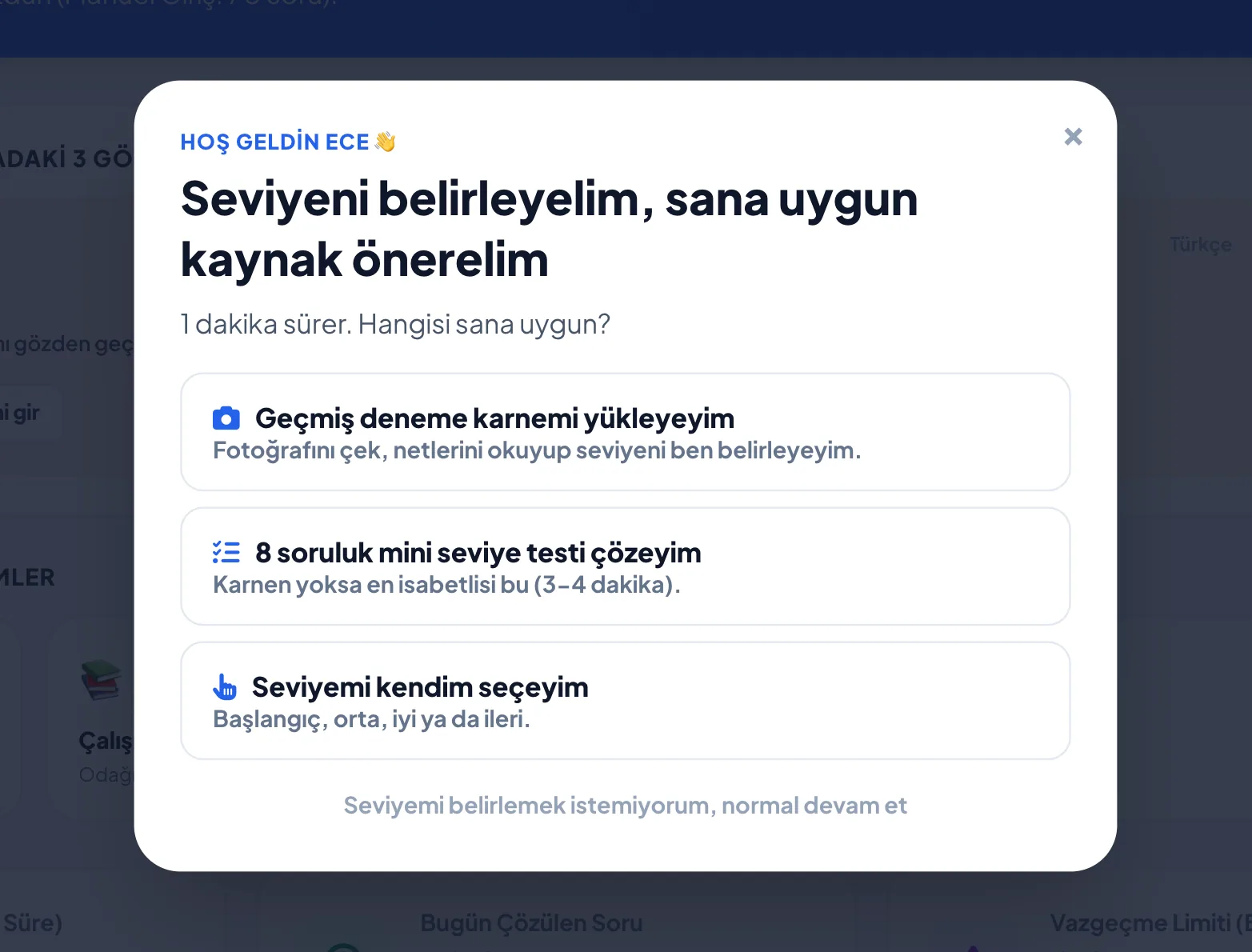 İlk Girişte Seviye Tespiti — gerçek ekran görüntüsü